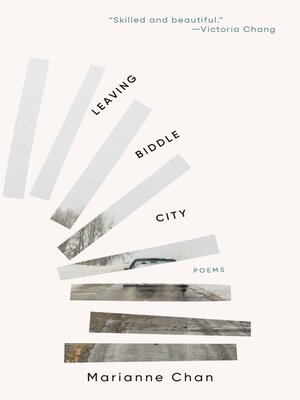 Leaving Biddle City - ebook